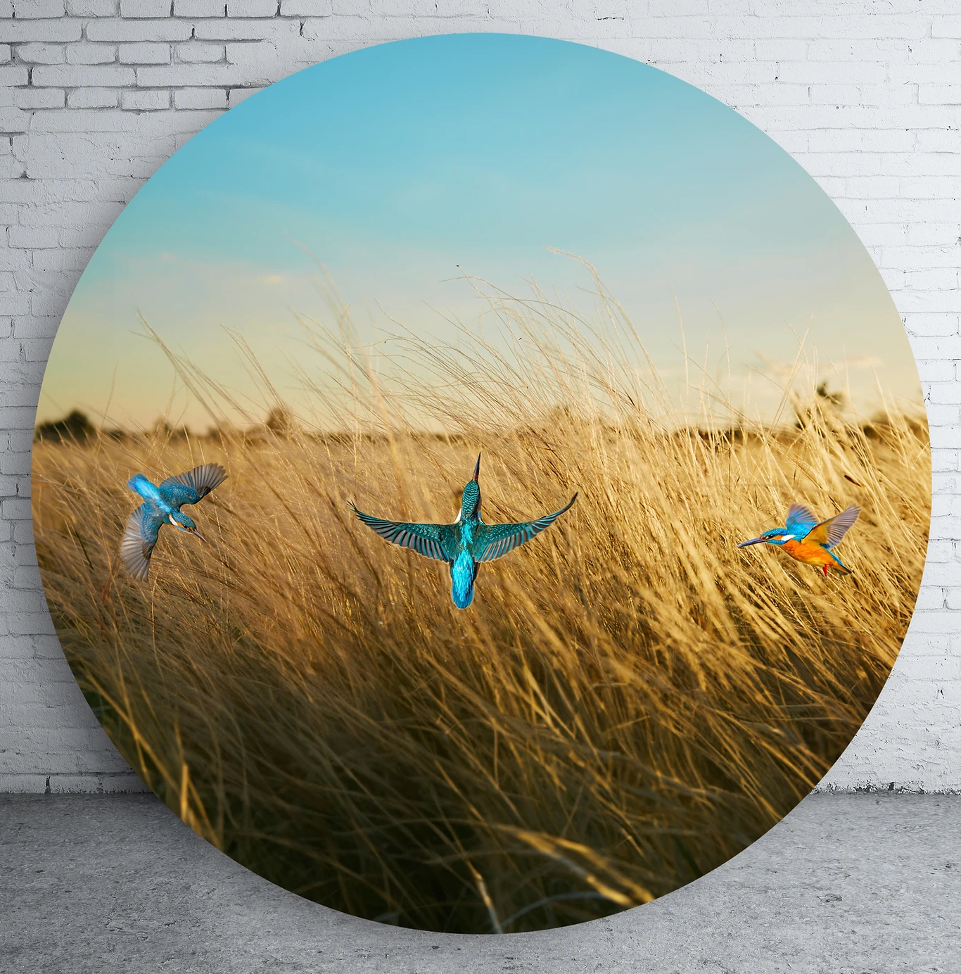 Fields of Paradise Aluminium artwork